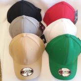 Boné Aba Curva Liso Leopard Original Snapback